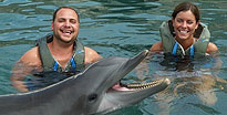 Dolphin Experience King'S Wharf, Bermuda Dolphin Experience King'S Wharf, Bermuda