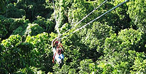 Canopy Tour & Challenge Course Antigua Canopy Tour & Challenge Course Antigua
