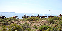 Baja Bandidos Horseback Trail Ensenada, Mexico Baja Bandidos Horseback Trail Ensenada, Mexico