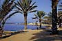 Pioneer Beach (Inland View)(Paphos): General