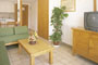 Apartments Martinique (1 bedroom max 4 pax)(Magalluf): General