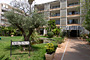 Araxa (Palma): General