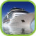 Cruise Holidays