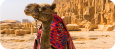 Cheap hotels in Egypt