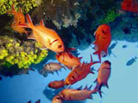 Diving cape verde