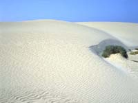 Sand Dunes Corralejo