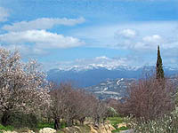 Summit of Troodos Mountains