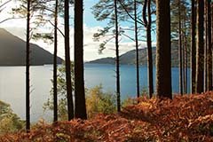 Loch Lomond