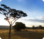 Africa Cruise
