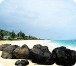 Hawaii Cruise