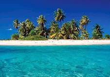 turtle beach barbados