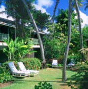 barbados cobblers cove