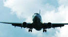 flight