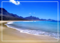 holidays in the canary islands