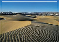holidays in the canary islands