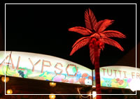 Palma Nova Nightlife
