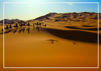  North Africa / Middle East
