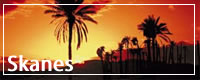 Holidays To Skanes  - Tunisia 