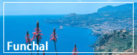 Holidays To Funchal - Madeira