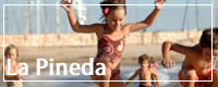 Holidays To La Pineda - Spain