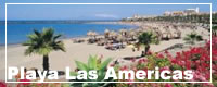 Holidays To Playa de las Americas