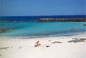 Canaries