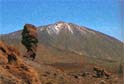 Tenerife