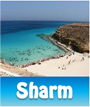 2010, 2011 Sharm el Sheikh Holidays Sharm el Sheikh Holidays