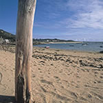 Bryher - Isles of Scilly Holidays