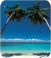 Caribbean