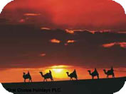 Holiday Tunisia
