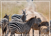 Flights to Nairobi