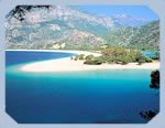 Turkey Offers