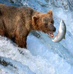 Photo of Alaska attractions