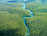 Image of Brazil and the Amazon