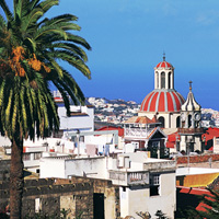 Canaries