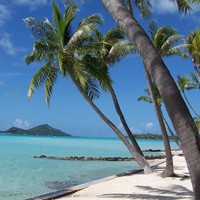 Caribbean