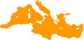 Mediterranean
