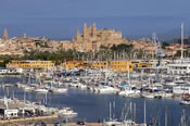 Palma and Cathedral
