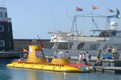 Try the submarine safari Try the submarine safari