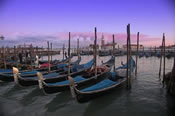 The Famous Gondolas