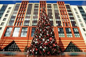 The Disney New York Hotel The Disney New york Hotel