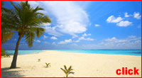 Caribbean