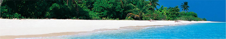 Viva Travel Banner