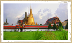 Bangkok + Pattaya