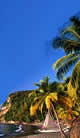 Caribbean Delight - Dominican Republic