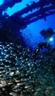Wonderful Climate, Great Value Hotels & Amazing Coral Reef