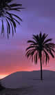 Powder soft beaches and exotic sights, an amazing experience with only a short journey