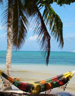 Package Holidays