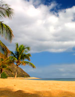 Package Holidays
